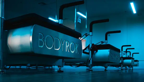 BODYROK
