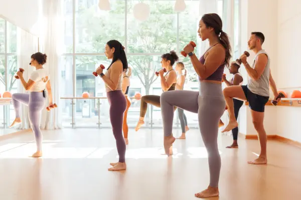 barre3