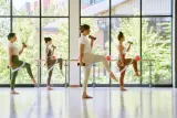 barre3 photo 3