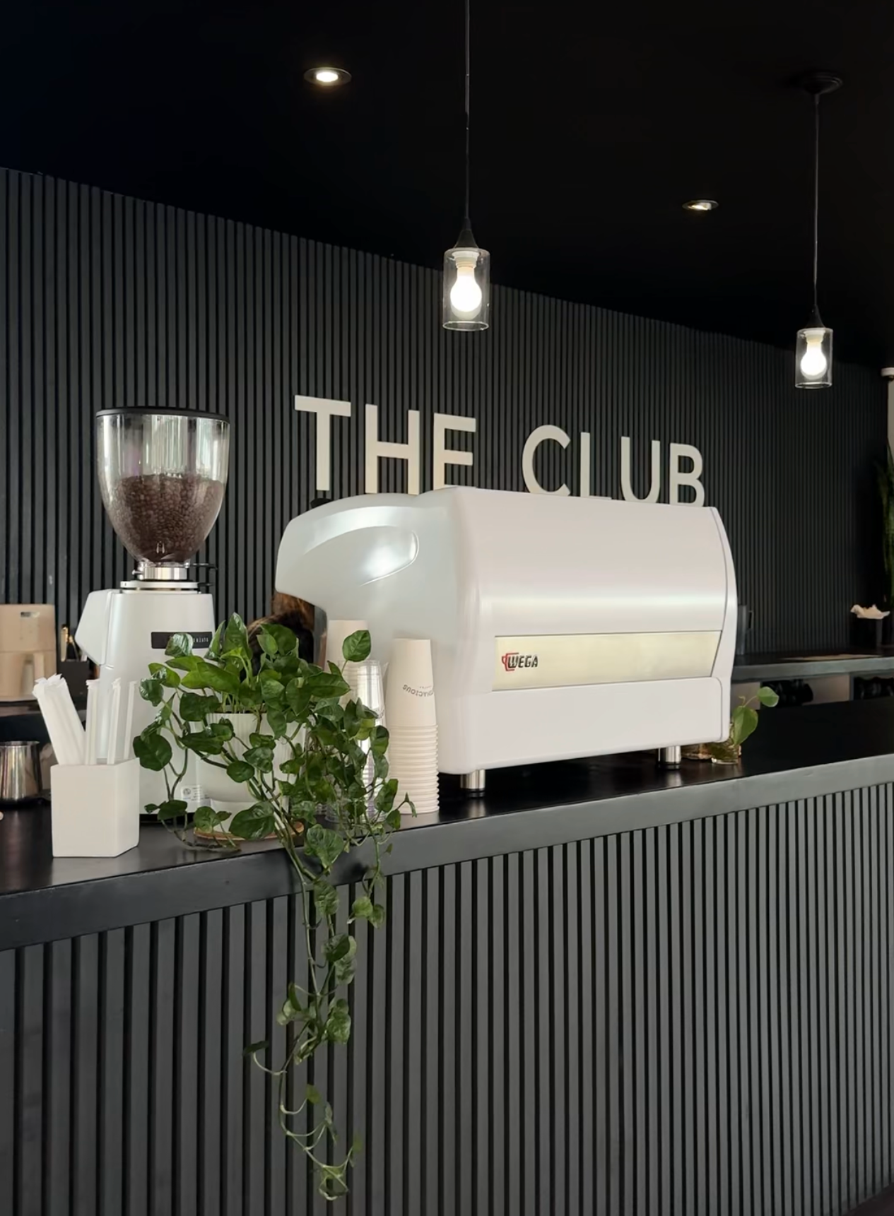 Pertinacious Coffee